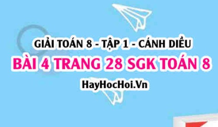 Giải bài 4 trang 28 Toán 8 Tập 1 SGK Cánh Diều